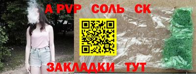 шишки Кимры