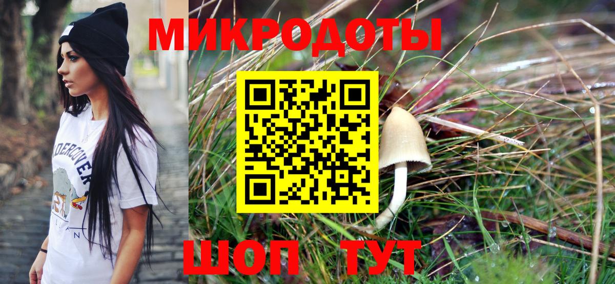 Галлюциногенные грибы Psilocybe Кстово