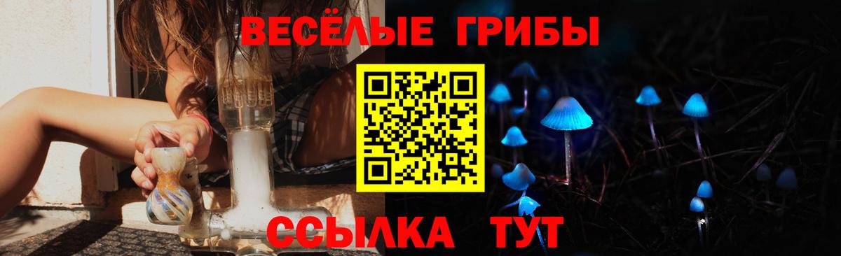 Кстово  Псилоцибиновые грибы мицелий  Вход с VPN 